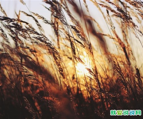 天气谚语大全一年级简短好背