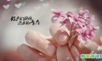 徒弟对师傅的感谢句子