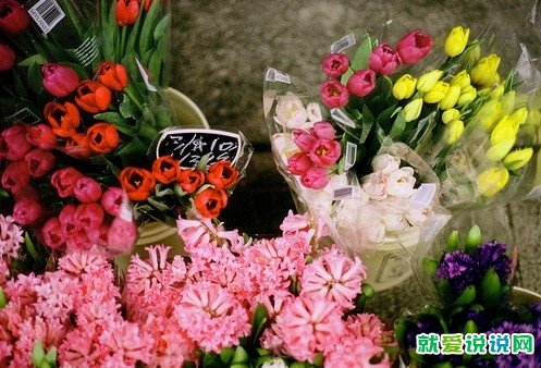感谢句子说说心情短语