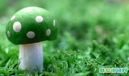 关于挫折的名人名言简短