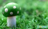 关于挫折的名人名言简短