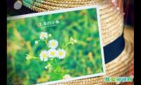 2022微信签名经典语句