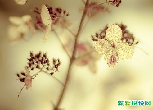 中秋节祝福语简短一句话