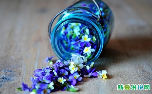 十月的说说励志的话语