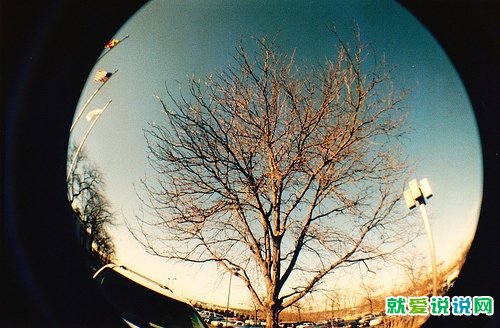 朋友圈10字以下短句