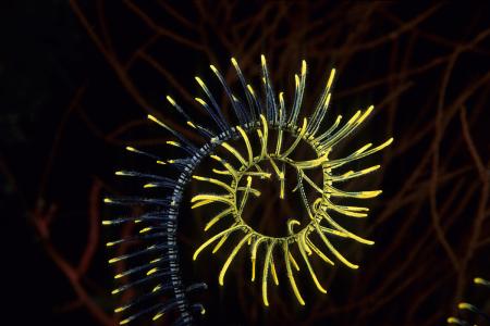 珍爱生命的名言警句