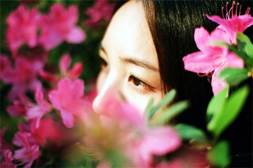 描写海棠花的优美句子