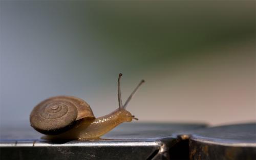 珍爱生命的名言警句