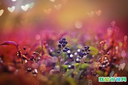 表达运动后出汗心情好的句子