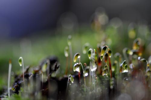 珍爱生命的名言警句