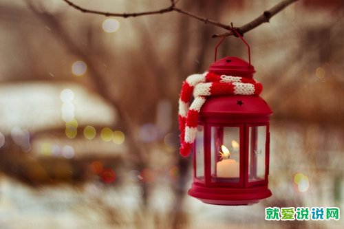 关于学会独立的名言