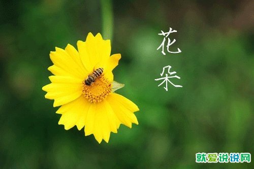 中秋节的祝福语句精彩文案
