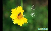 中秋节的祝福语句精彩文案