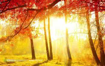 形容秋高气爽的句子