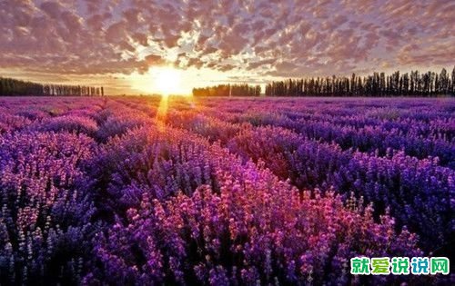 经典的一句话周末愉快