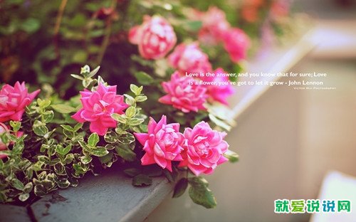 中秋节祝福的诗句