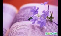 表达人生迷茫的句子发朋友圈