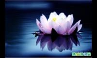 教师节感恩的简短文案