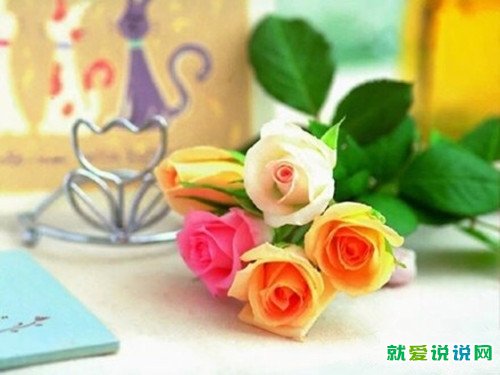 形容我被感动了的句子说说心情