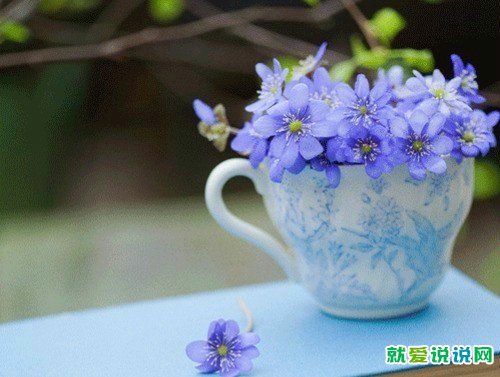 女人有气质有内涵又有性感的句子