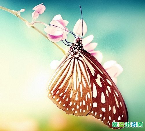 教师节祝福语简短一句话