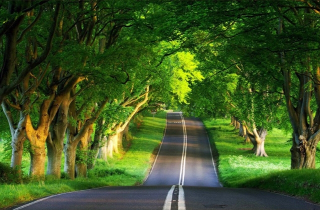 高温天气发朋友圈的温馨提示 天气炎热注意防暑的句子