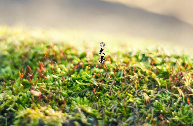 适合大暑发朋友圈的句子 今日大暑早安心语祝福语
