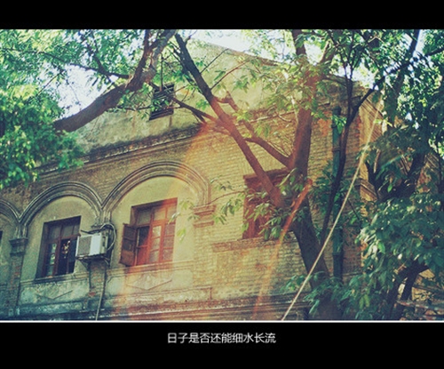 读书使人明智的句子