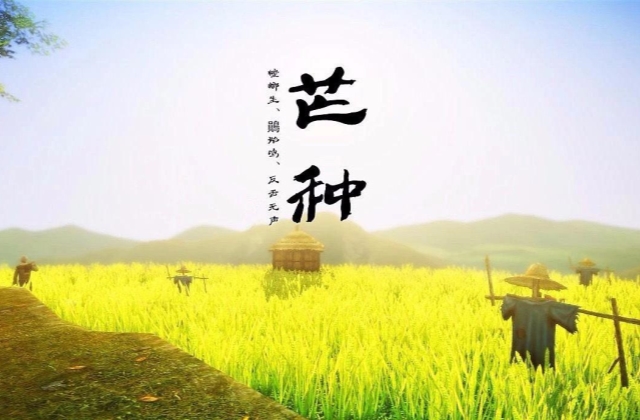 芒种祝福语 适合芒种发朋友圈的说说