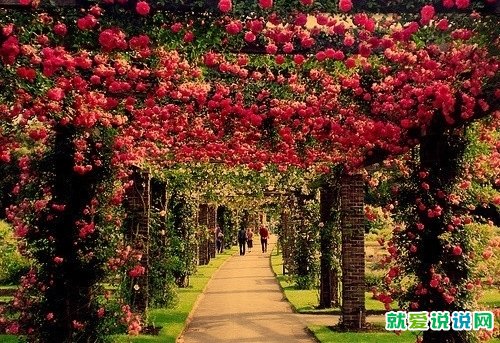 早上好祝福老同学的精美句子