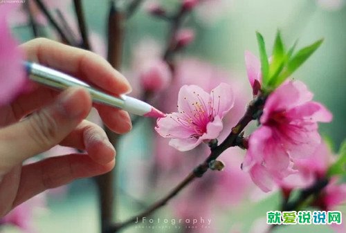 心中有大爱的经典语句 形容大爱的经典语录