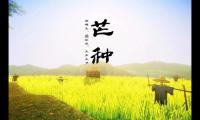 芒种祝福语(适合芒种发朋友圈的说说)