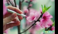 心中有大爱的经典语句(形容大爱的经典语录)