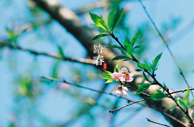 清明节怎么发祝福 适合清明节发的朋友圈说说心情句子