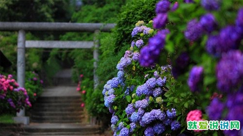 适合发朋友圈正能量短句