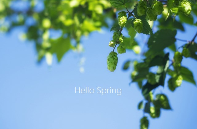 2020春天祝福语大全简短 适合春天发朋友圈的句子