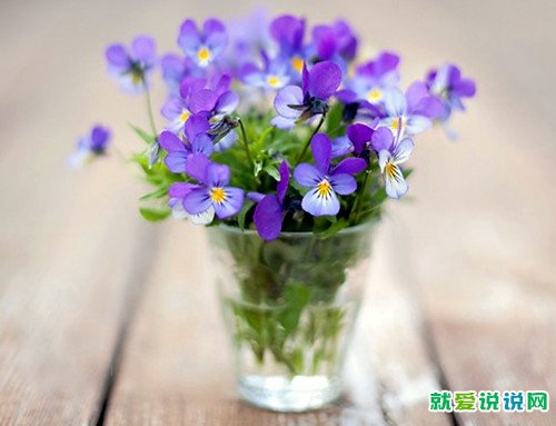 追求女孩子的说说短句