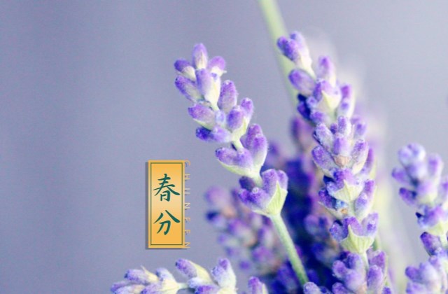 春分节气祝福语 适合春分发朋友圈的说说