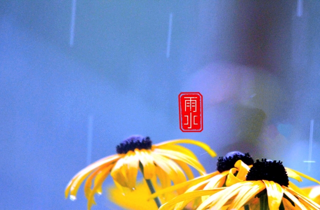 雨水节气祝福语早安说说心语