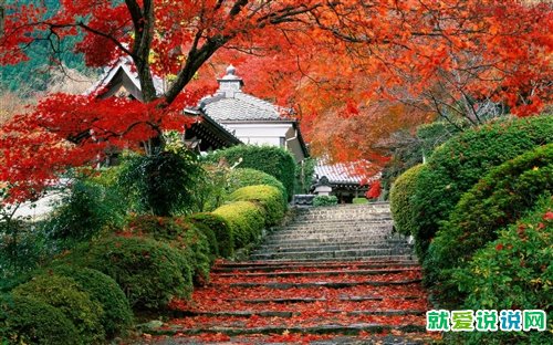 登上山顶的人生感悟诗句