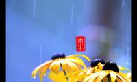 雨水节气祝福语早安说说心语