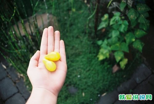 在风雨中前行激励句
