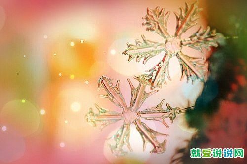 令人感动又温暖的句子