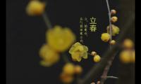 今日立春祝福语(武汉加油的句子：没有一个春天不会到来一句话)