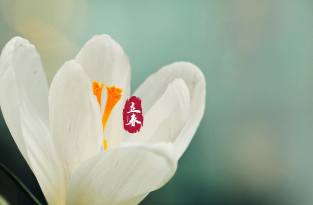 立春祝福语早安暖心话 适合立春发的朋友圈说说