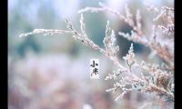 小寒节气祝福语(适合小寒发的说说短语)
