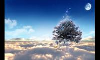 唯美星空的简短句子(星星的浪漫句子爱情)
