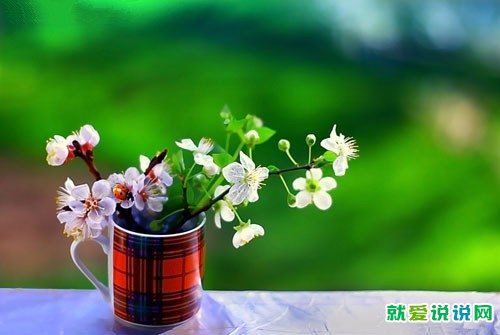 创业者励志的句子致自己简短