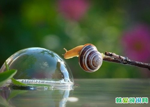 创业团队口号大全霸气十足