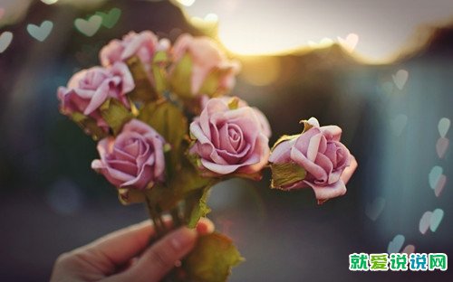 感动人的句子说说心情